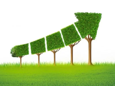 什么是碳邊境調(diào)節(jié)機(jī)制，對中國有哪些影響？