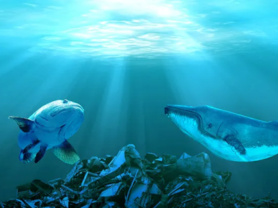 巴斯夫、SABIC、埃萬特多舉措助力海洋塑料回收再利用